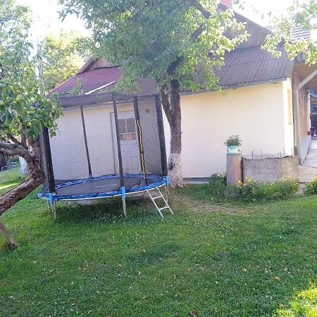 Летний дом у дядька